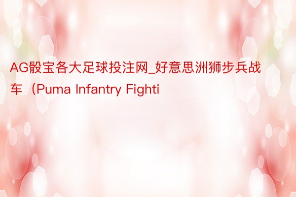 AG骰宝各大足球投注网_好意思洲狮步兵战车（Puma Infantry Fighti