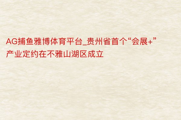 AG捕鱼雅博体育平台_贵州省首个“会展+”产业定约在不雅山湖区成立