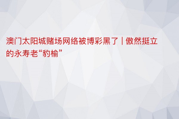 澳门太阳城赌场网络被博彩黑了 | 傲然挺立的永寿老“豹榆”