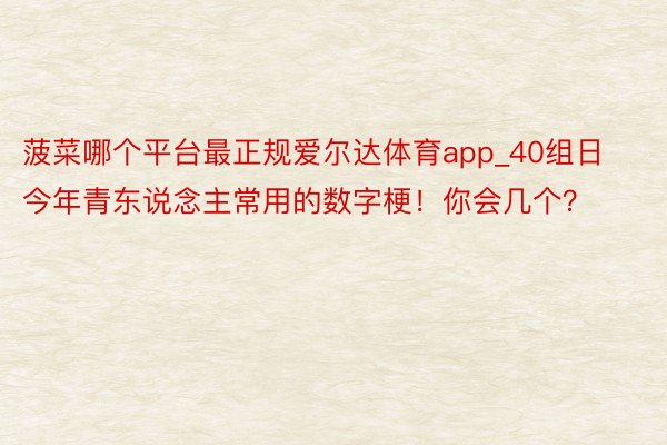 菠菜哪个平台最正规爱尔达体育app_40组日今年青东说念主常用的数字梗！你会几个？