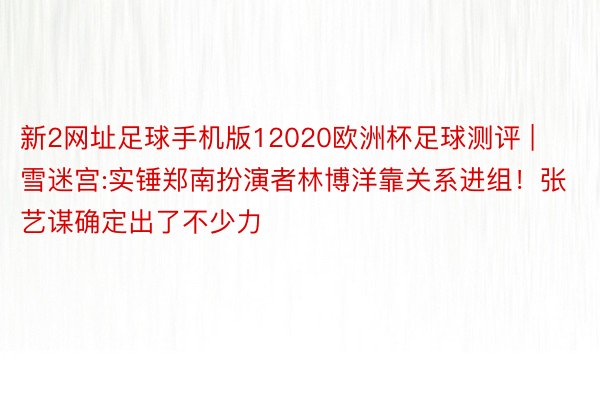 新2网址足球手机版12020欧洲杯足球测评 | 雪迷宫:实锤郑南扮演者林博洋靠关系进组！张艺谋确定出了不少力