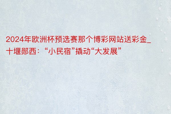 2024年欧洲杯预选赛那个博彩网站送彩金_十堰郧西：“小民宿”撬动“大发展”