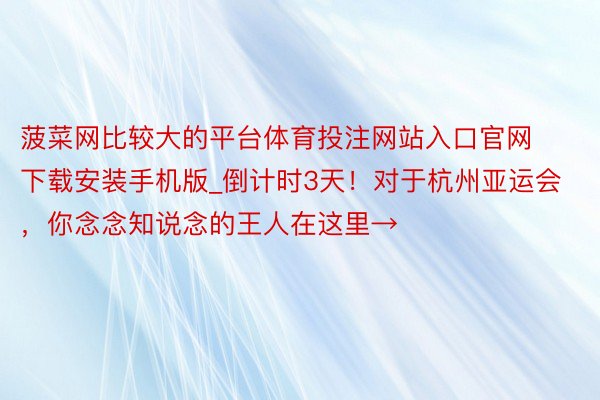 菠菜网比较大的平台体育投注网站入口官网下载安装手机版_倒计时3天！对于杭州亚运会，你念念知说念的王人在这里→