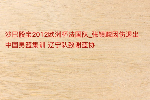 沙巴骰宝2012欧洲杯法国队_张镇麟因伤退出中国男篮集训 辽宁队致谢篮协